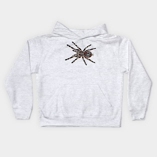 Acanthoscurria geniculata tarantula Kids Hoodie by AikasHeaven